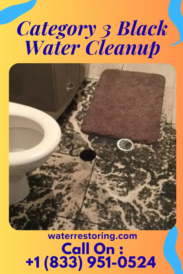 Category 3 Black Water Cleanup in Speed, NC