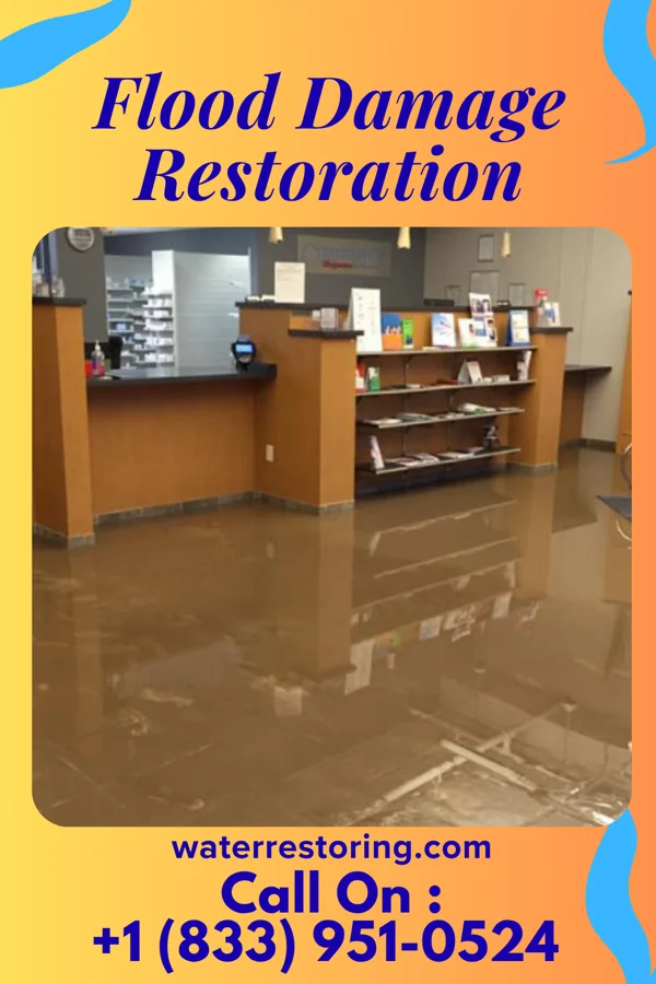 Flood Damage Restoration in Speed, NC