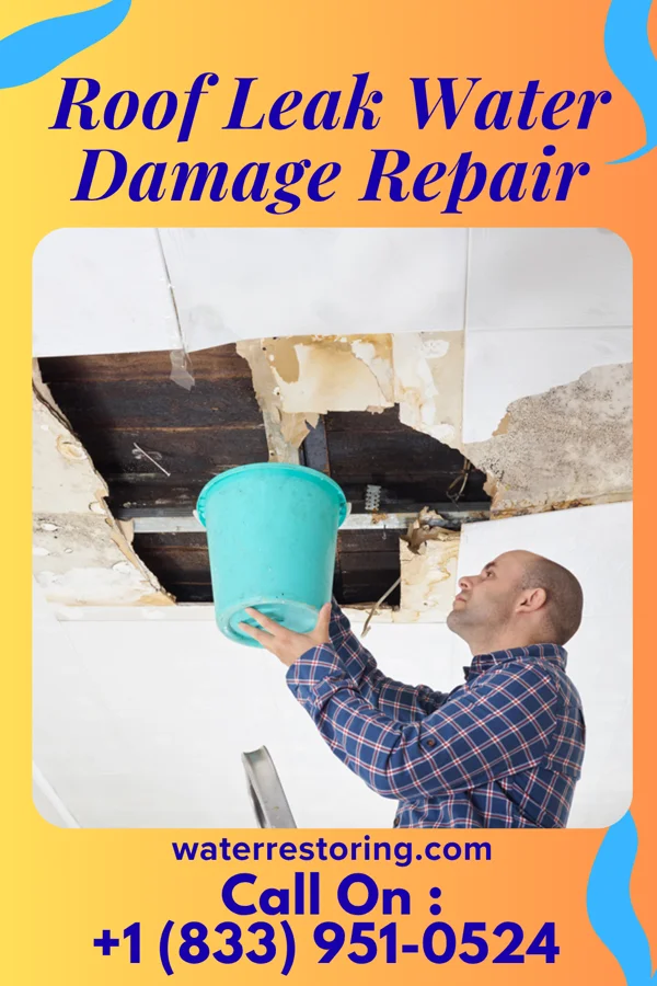 Roof Leak Water Damage Repair in Speed, NC