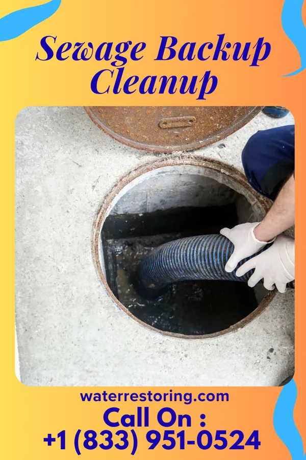 Sewage Backup Cleanup in Speed, NC