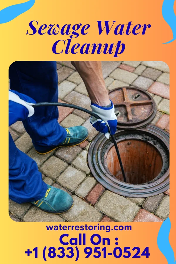 Sewage Water Cleanup in Speed, NC